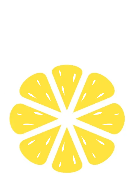 Black Lemon Studio